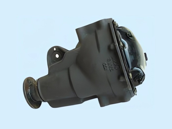 Cheetah Difference Before